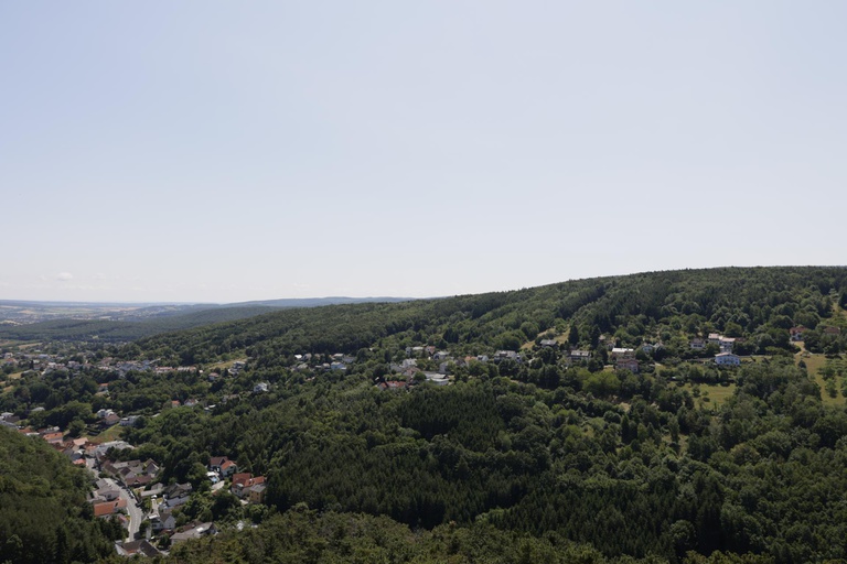 Burg #6