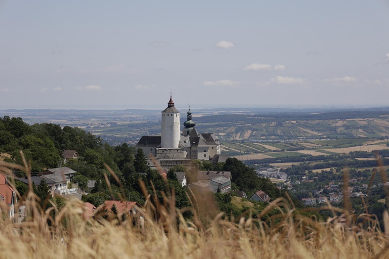 Burg #6