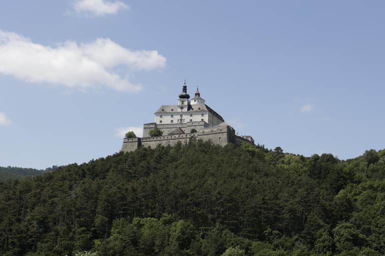 Burg #6