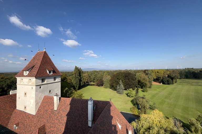 Palais/Schloss #36