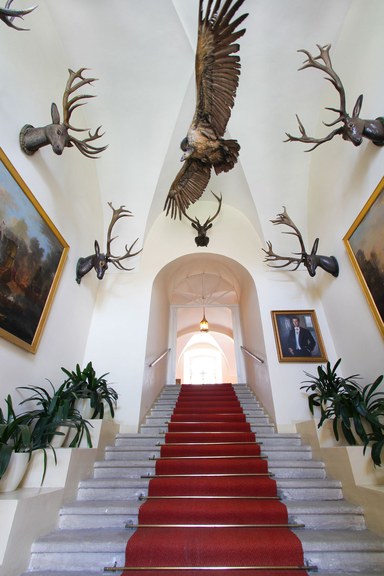 Palais/Schloss #20