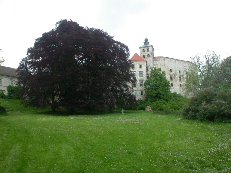 Palais/Schloss #19