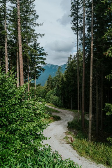 Landhaus #49
