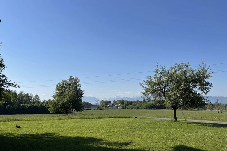 Landhaus #48