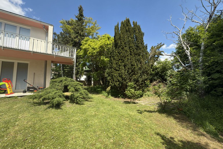 Haus #169