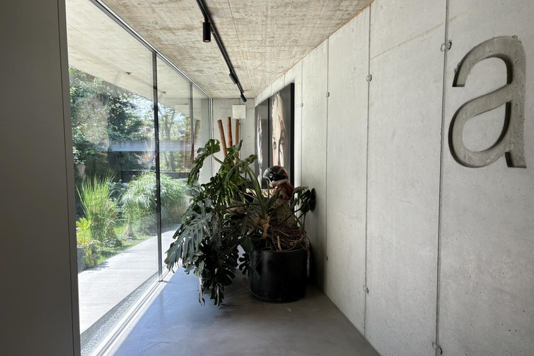 Haus #99