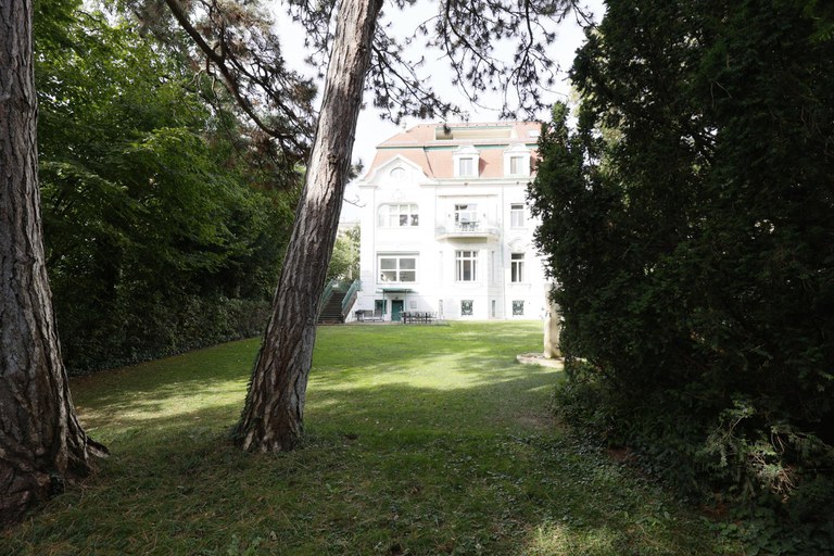 Villa #36