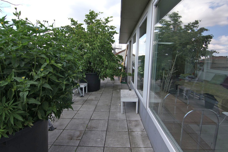 Penthouse #11
