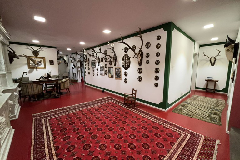 Villa #46