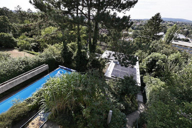 Haus #161