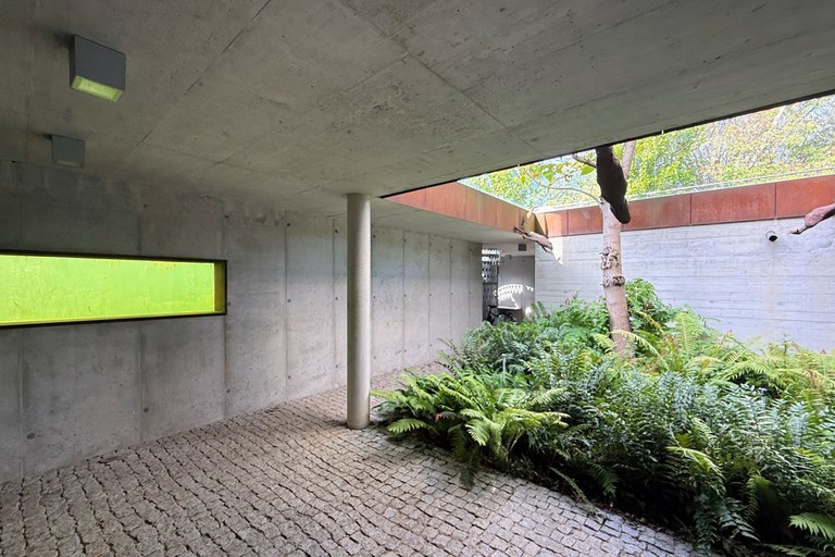 Haus #187